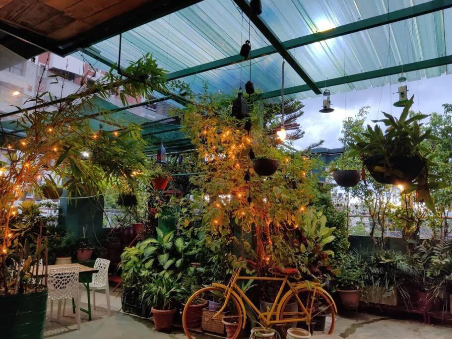 The Nook Rooftop Condo And Garden Guwahati Exteriör bild